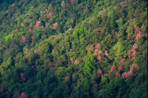 微信圖片_20181120154738 微信圖片_20181120154738