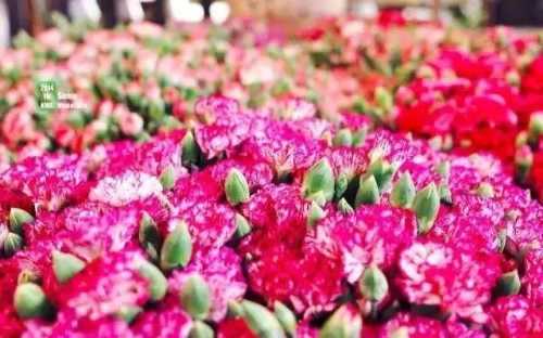 微信圖片_20181120154745 微信圖片_20181120154745