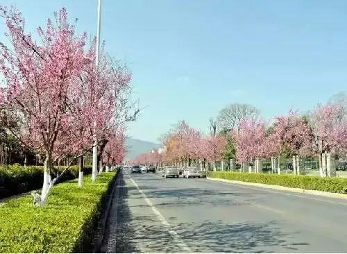 微信圖片_20181120154749 微信圖片_20181120154749