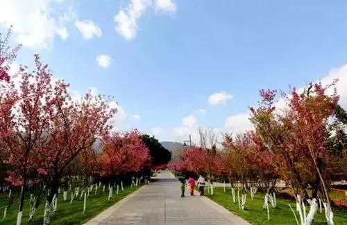 微信圖片_20181120154752 微信圖片_20181120154752