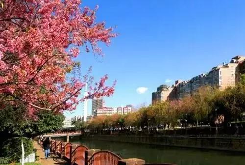 微信圖片_20181120154754 微信圖片_20181120154754