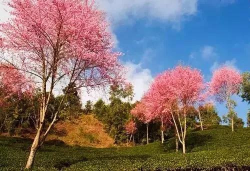 微信圖片_20181120154757 微信圖片_20181120154757