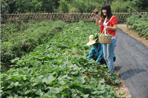 微信截圖_20181121102004 微信截圖_20181121102004