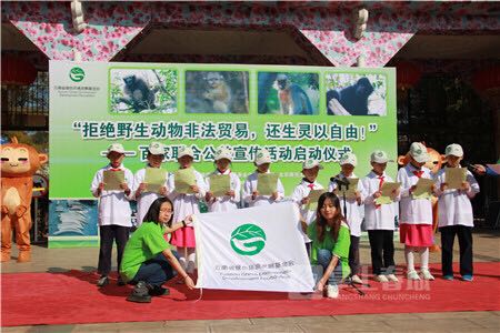 5bf4d676db54e 5bf4d676db54e