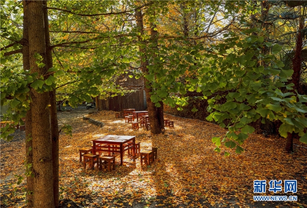 137603391_15421832444521n 137603391_15421832444521n