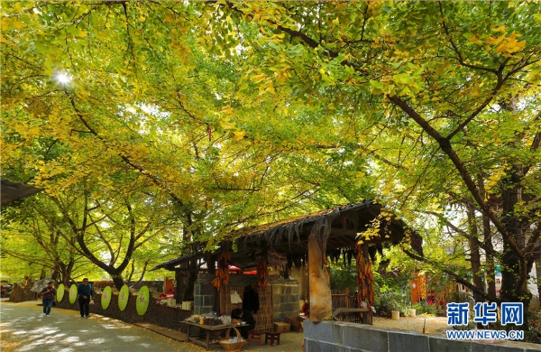 137603391_15421832445901n 137603391_15421832445901n