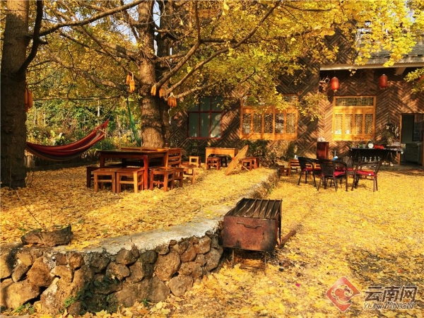 137618941_15426768668011n 137618941_15426768668011n