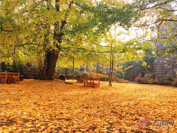 137618941_15426768670471n 137618941_15426768670471n