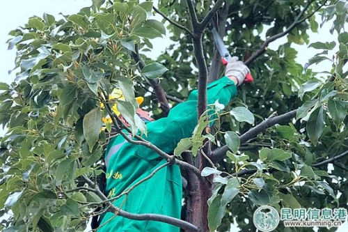 微信圖片_20181123163819_副本 微信圖片_20181123163819_副本