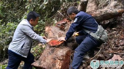 webwxgetmsgimg (2) webwxgetmsgimg (2)