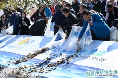 放魚現(xiàn)場 供圖 放魚現(xiàn)場 供圖