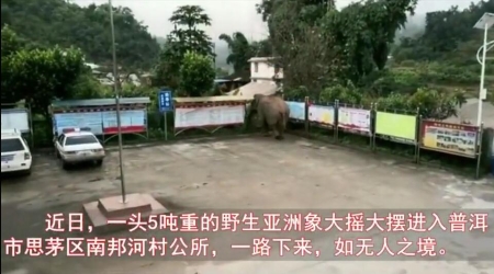 QQ截圖20181123212438 QQ截圖20181123212438