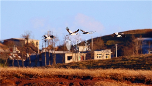 5bf8ac4dc0eb3 5bf8ac4dc0eb3