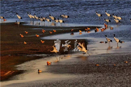 5bf8ac4499ee6 5bf8ac4499ee6