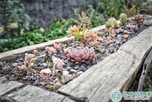 QQ截圖20181124140423 QQ截圖20181124140423