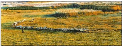 201811250400279899 201811250400279899