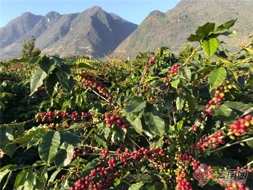 00300211542_b1b5a8a7 00300211542_b1b5a8a7