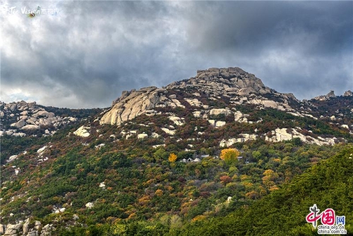 93f65a53-2bc9-4c24-a708-e1a70698d0bd_batchwm 93f65a53-2bc9-4c24-a708-e1a70698d0bd_batchwm