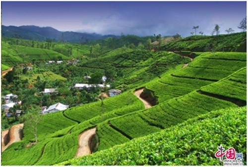 d4825765-9d4f-4ae6-8278-3f64a06de621_batchwm d4825765-9d4f-4ae6-8278-3f64a06de621_batchwm