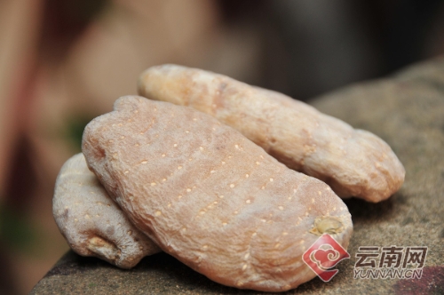 00300212981_50591095 00300212981_50591095