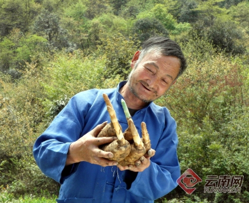 00300212987_4cc0cb50 00300212987_4cc0cb50