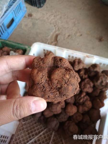 20181126163713C14OHO