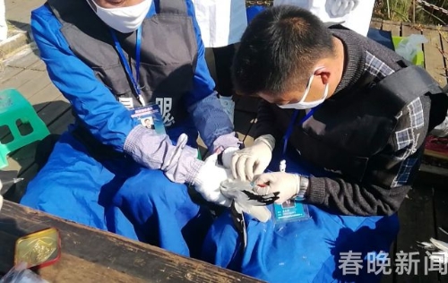 20171130111945C5PXFE