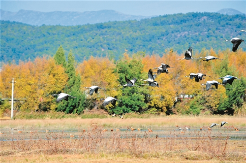 QQ圖片20181127075850 QQ圖片20181127075850