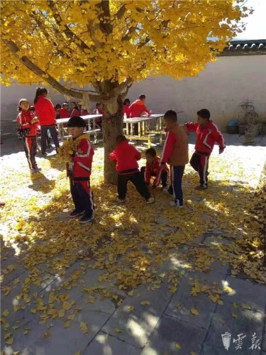 微信圖片_20181127174423