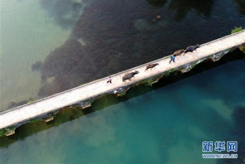 （環(huán)境）（2）廣西靖西：冬日鄉(xiāng)村美如畫