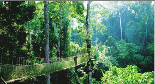 微信截圖_20181128103914 微信截圖_20181128103914