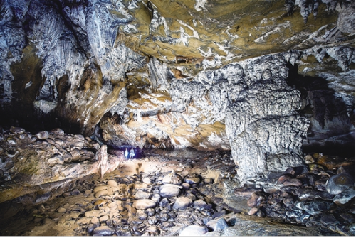 微信截圖_20181128104008 微信截圖_20181128104008