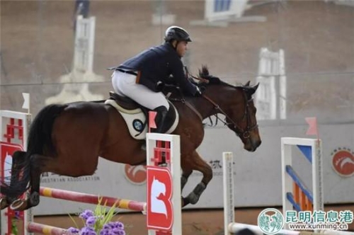 馬術(shù)比賽中 馬術(shù)比賽中