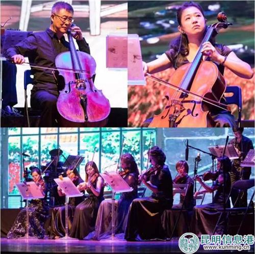 音樂會現(xiàn)場效果2