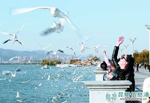 QQ圖片20181129084340