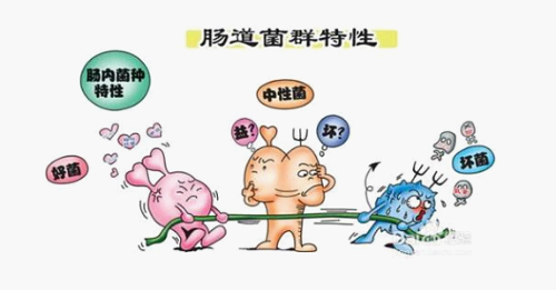 寶寶腸道問題頻發(fā)，應(yīng)該如何調(diào)理？