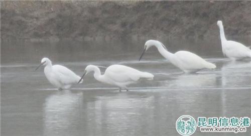 微信圖片_20181129192451