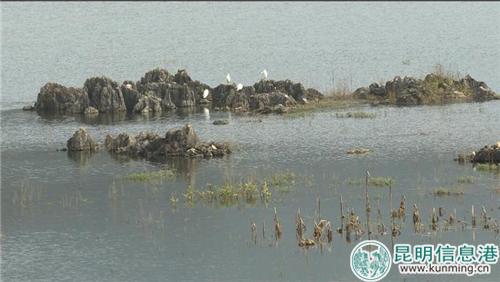 微信圖片_20181129192455