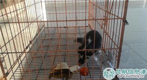 微信圖片_20181129192502 微信圖片_20181129192502