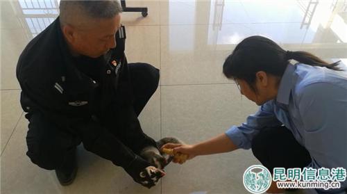 微信圖片_20181129192506 微信圖片_20181129192506