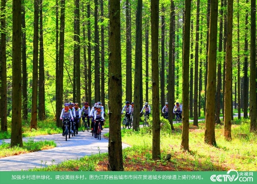 PHOTjnMIyd1vUxm2eNdmUZXf181202_1000x2000