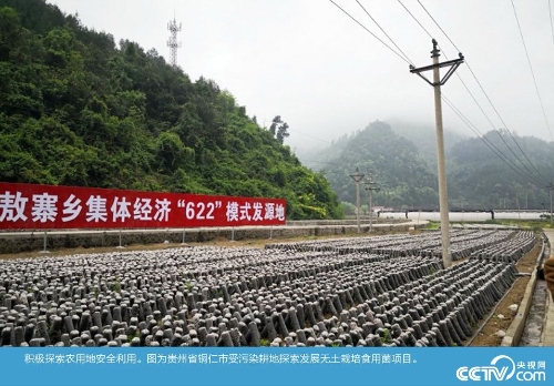 PHOTMcwcMneXCrFYS41IWMdh181202_1000x2000