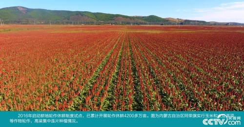 PHOT3c4XIWq8yJbVeLgAk4lA181202_1000x2000