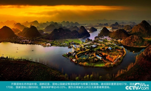 PHOTIbDiRXcFmjDhT7PJHTdI181202_1000x2000