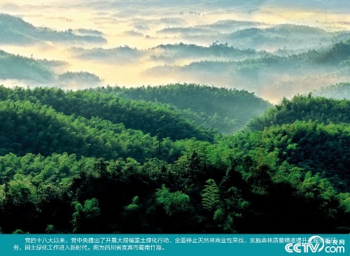 PHOTn91Ej9szXUKNZbfMyPsE181202_1000x2000