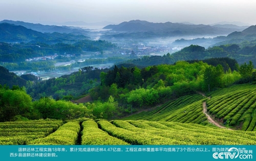 PHOTPrjWxr7HpIR0ZWq1xZve181202_1000x2000