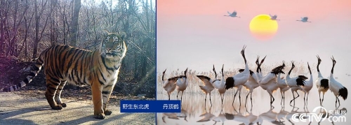 PHOTN7worRzrN6d3xHMLq5z4181202_1000x2000