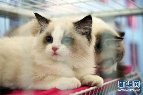 137646098_15438034136951n