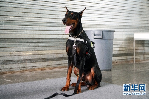 137646098_15438034137601n