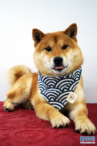 137646098_15438034138951n